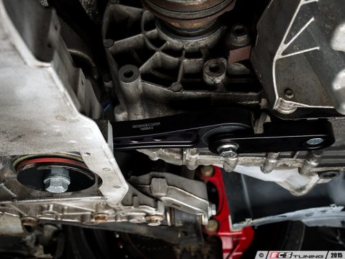 ECS Tuning Performance Pendulum Mount