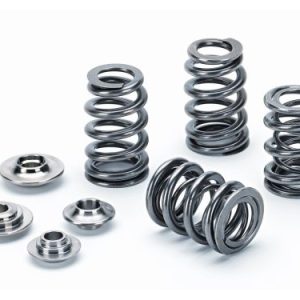 Supertech Valve Spring kit for Audi 8V2 RS3 / 8S TTRS