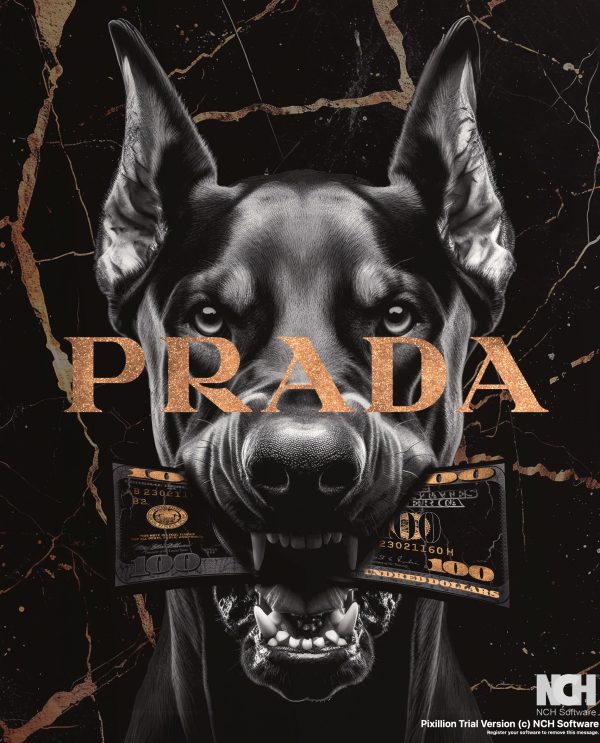 Dobermann Prada