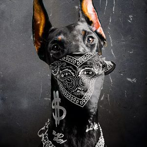 Gangster Dobermann